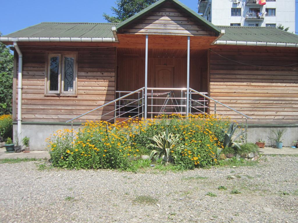 Wooden Cottage マヒンジャウリ エクステリア 写真